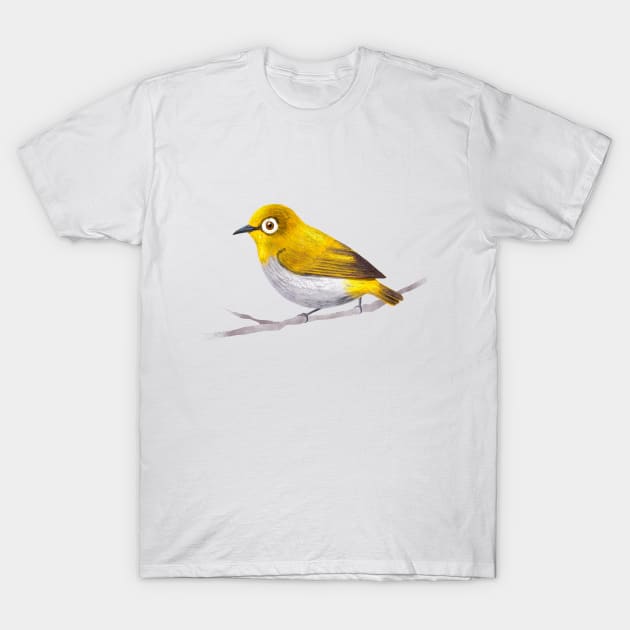 Indian White Eye Bird Species T-Shirt by yuliia_bahniuk